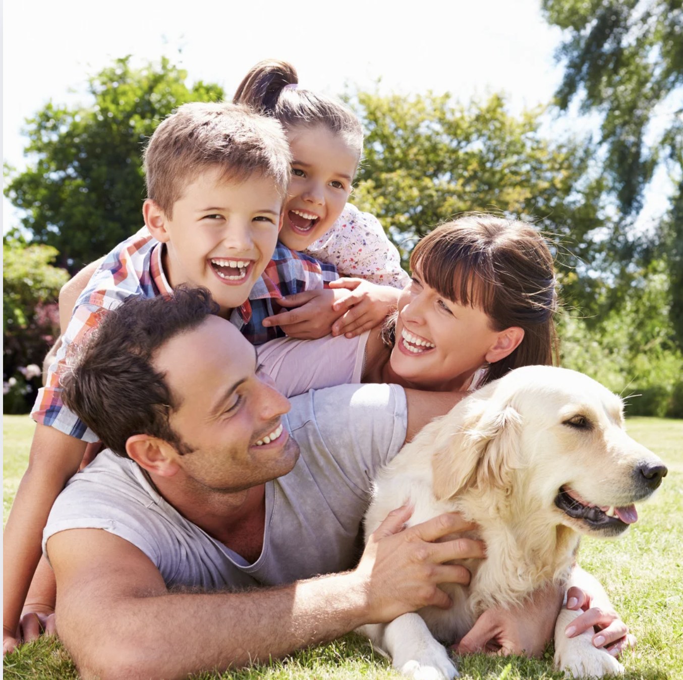 Family with their dog – Vero Animal Health