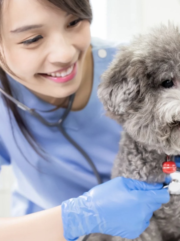 Medical supplies – syringes, needles and gauze